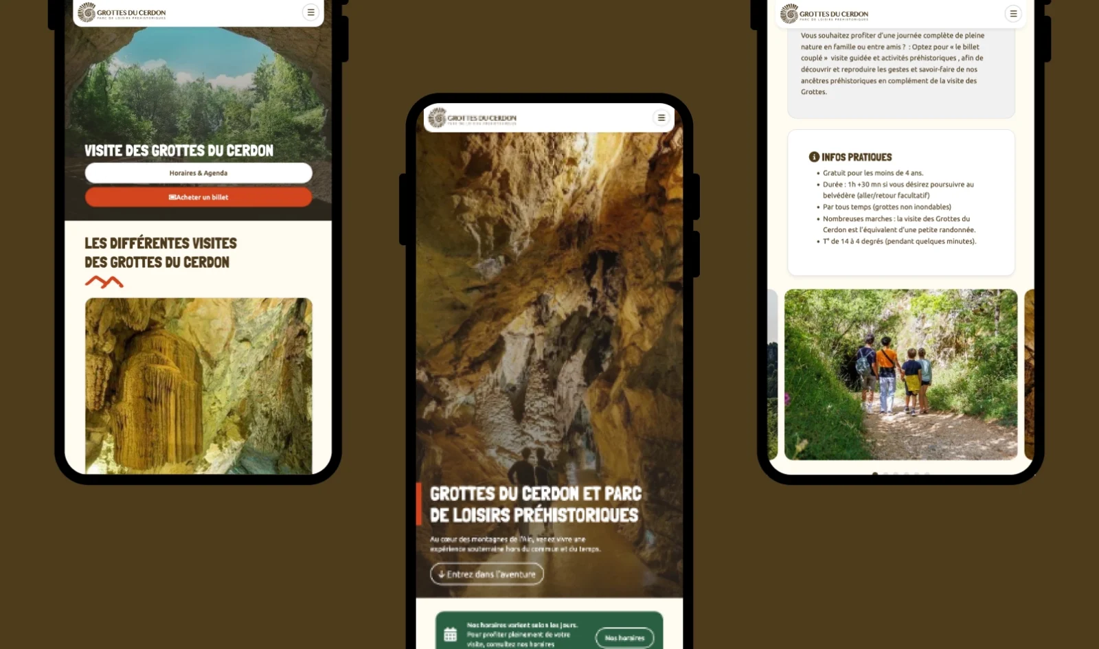 Refonte WordPress responsive Grottes Du Cerdon